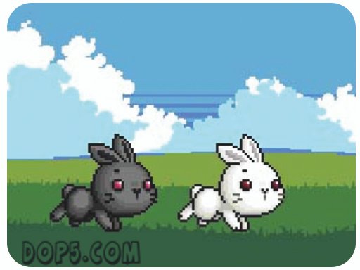 Bu Bunny Two Rabbit Jump