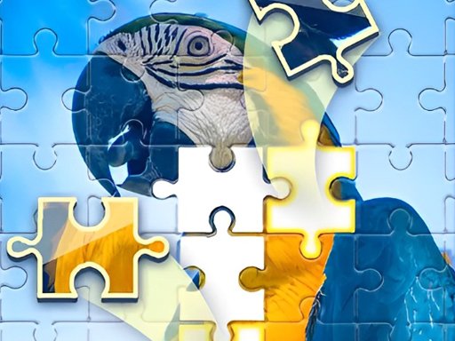 Puzzle Challenge Run World