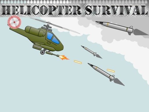 Helicopter Survivor Story