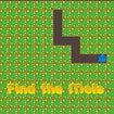  Find the Mole Land