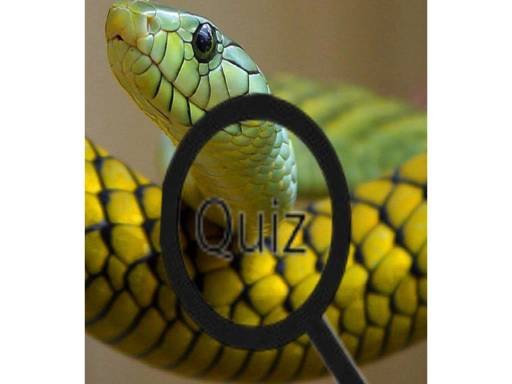 Wildlife Animal TriviaTest Your Knowledge! Fun