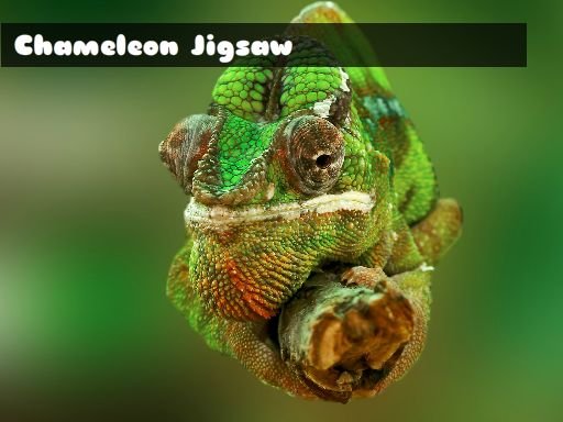 Chameleon Jigsaw Mission Arena