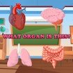 What Organ Is This? Rush