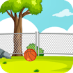 Basketball Challenge Online Game Island