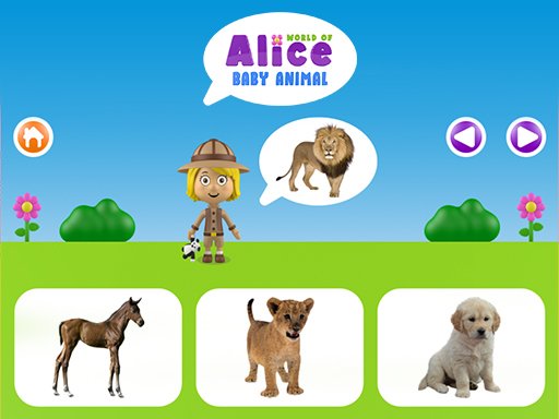 World of Alice  Baby animal Story
