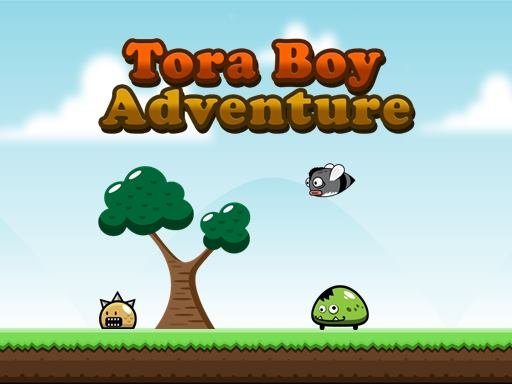 Tora Boy Adventure Race Saga