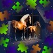 Horses Puzzle quest Fun