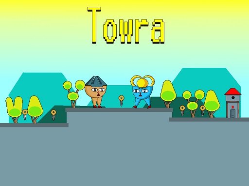 Towra Dash