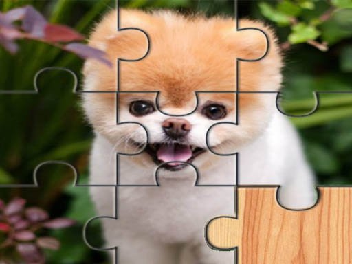 Cute Dogs Jigsaw Puzlle Escape