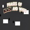 Phases of Black and White World