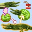 Create Bombardiro Crocodilo World