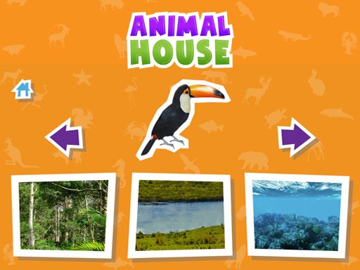 Animal  House game Adventure Land