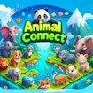  Animal Connect World Challenge