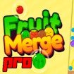 Fruit Merge Pro Challenge