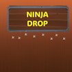 Ninja Drop Escape Challenge