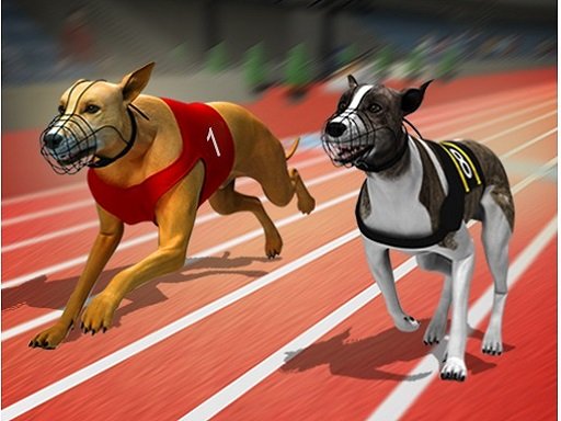 Racing Dog Simulator  Crazy Dog Racing Games Saga