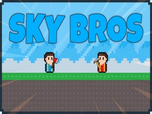Sky Bros Mission