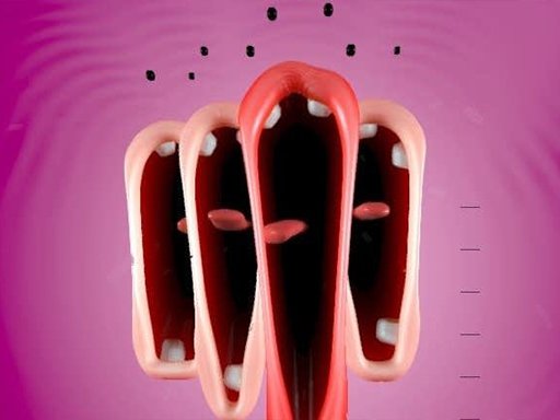 Funny Chorus Jump Challenge