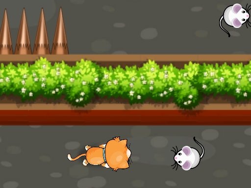Cat Trap Labyrinth Escape Land Saga