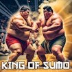 King Of Sumo Journey