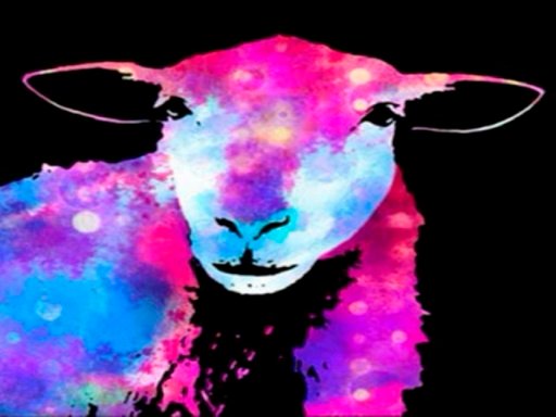 Disco Tunes Dash Challenge