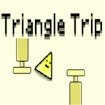 Triangle Trip Run Fun