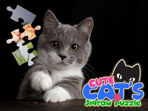 CUTE CATS JIGSAW PUZZLE Story Dash