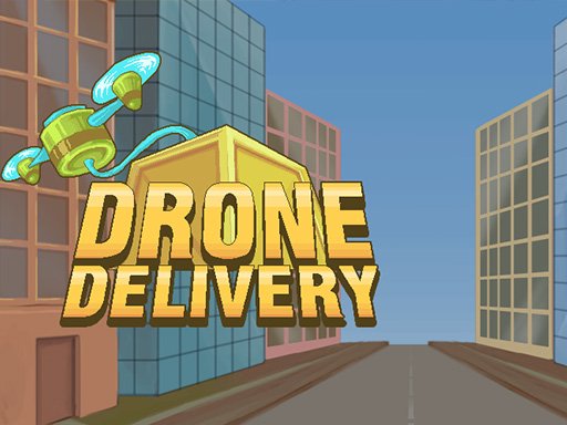 Drone Delivery World