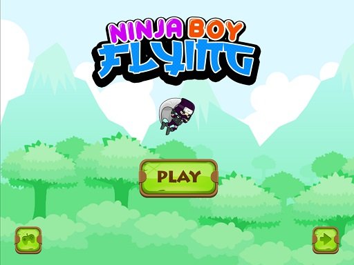 Ninja flying boy Challenge Island