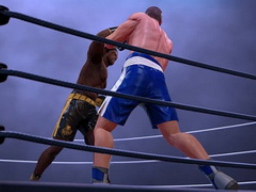 Ultimate Boxing  The Boxing King Race Land