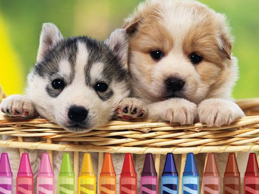 4GameGround  Puppy Coloring Saga