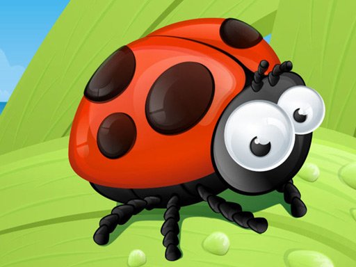Ladybug Slide Challenge Arena