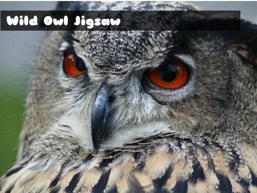 Wild owl Jigsaw Jump Challenge