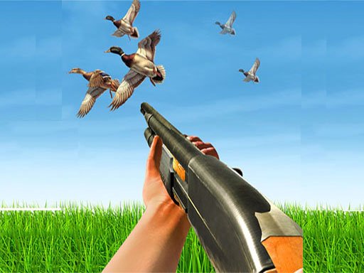 BIRD HUNTING Gun Fire Shooter Race Jump