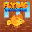 Flying Challenge Fun Legends