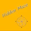 Hidden Maze Challenge