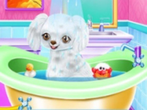 My New Poodle Friend  Pet Care Game Fun Escape