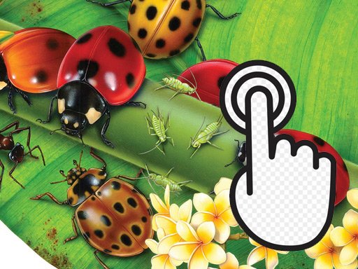 Ladybug Clicker Mode Adventure