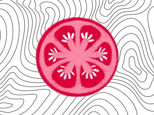 SliceItUp Battle Race