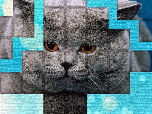 PicPu  Cat Puzzle Mission