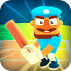  Cricket Hero Mode
