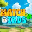 Match Pop Birds Run Master
