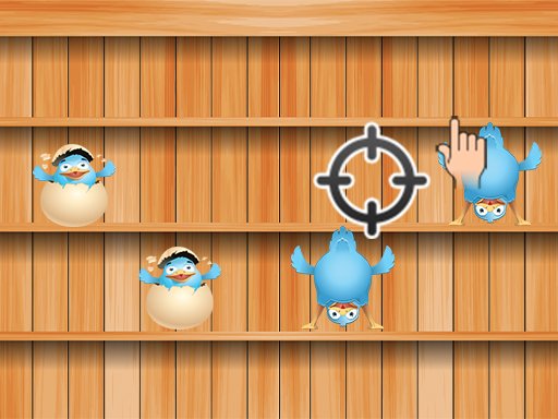 Duck Shooter 1 Mission