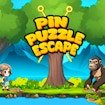 Pin Puzzle Escape Challenge