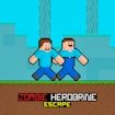 Zombie Herobrine Escape Race Island
