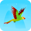  Flying Parrot Story