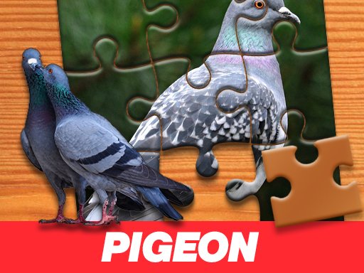 Pigeon Jigsaw Puzzle Race