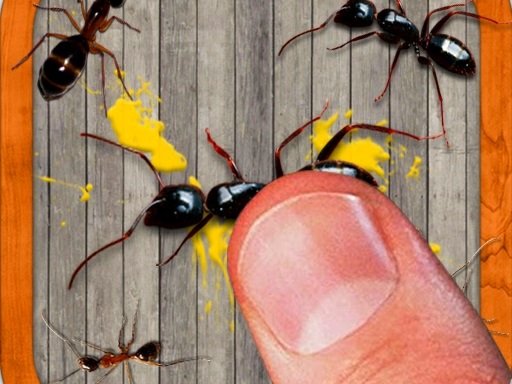 smash the insectt Land Fun