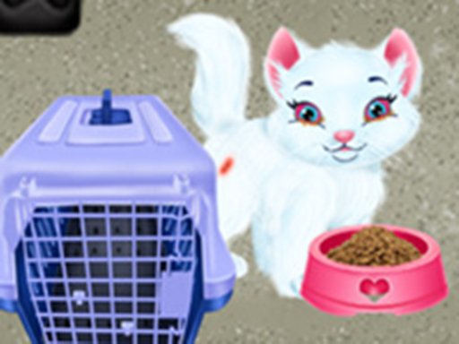 Baby Taylor Pet Care  Save Cute Animals World