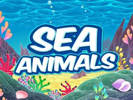 Sea Animals HD Story